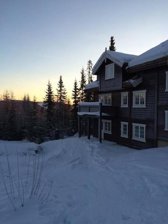 Flat In Trysil Ski In Ski Out And Sauna Bagian luar foto
